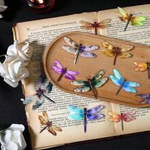 20pcs/Pack PET Material Dragonfly Themed Stickers, For Card Making, Notebooks, Scrapbooking, Stationery Decor DIY - Multicolor - View 3