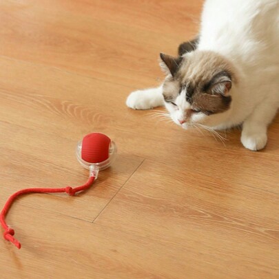 Brinquedo de provocação para gatos recarregável por USB com cauda longa, brinquedo de treinamento para gatos para estimular a observação e a capacidade de captura, adequado para todas as raças de gatos, essencial para pais de gatos, capacidade da bateria: 150mAh