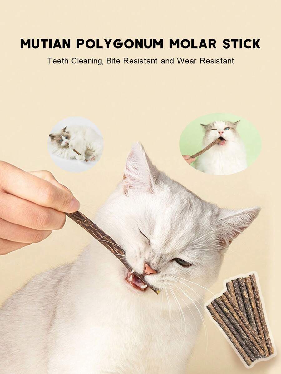 10pcs Natural Birchwood Cat Chew Sticks, Promote Healthy Gums And Fresh