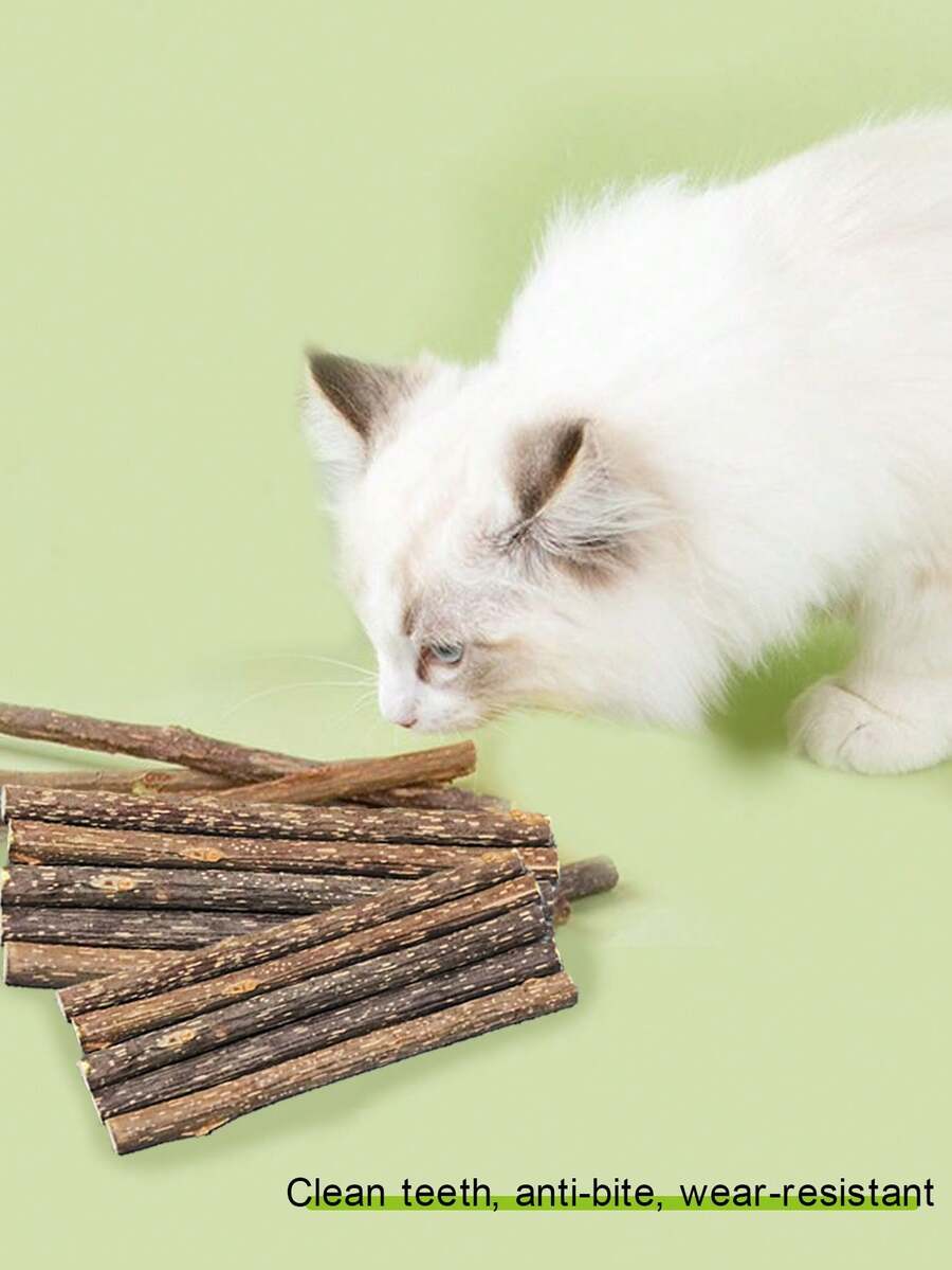 10pcs Natural Birchwood Cat Chew Sticks, Promote Healthy Gums And Fresh