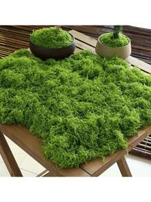 الطحالب الاصطناعية الواقعية، مناسبة لأعمال الحرف اليدوية وديكور المنزل - نبات أخضر شبيه بالحقيقة، رائع لمناظر طبيعية مصغرة، ديكور الزفاف، عيد الميلاد، أعراض السنة الجديدة - متعدد الألوان - مشاهدة 2