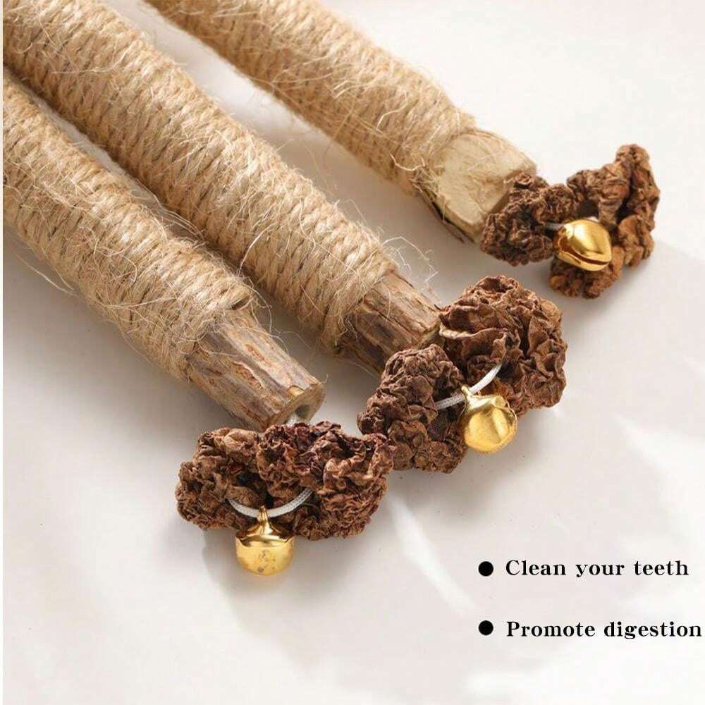 Polygonum Polygonum Molar Stick Cat Toy Gall Fruit Raffia Grass Adult