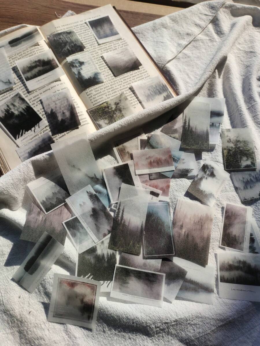 50 张森林图案什锦贴纸 - 彩色 - 查看 1