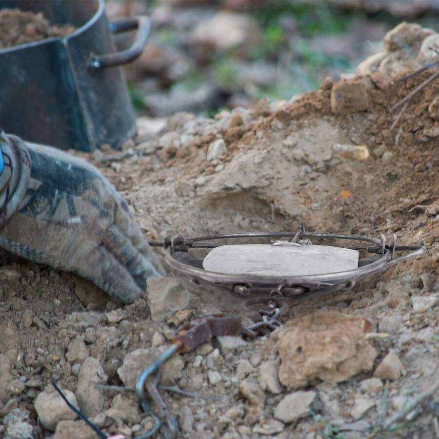 2 Pieces Of Animal Spring Trap Sturdy Iron Animal Snap Trap 6 Inches