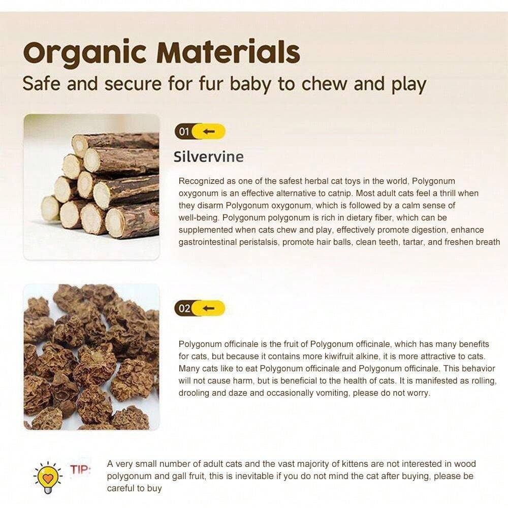 Polygonum Polygonum Molar Stick Cat Toy Gall Fruit Raffia Grass Adult