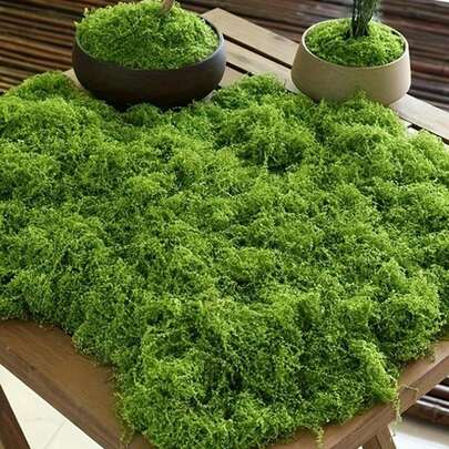 Realistic Artificial Moss, Suitable For DIY Crafts And Home Decor - Lifelike Green Plant Grass, Great For Miniature Landscape, Wedding Decoration, Christmas, New Year Props