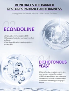 DEleventh Bosenone 抗衰老面霜，30g - 保湿、抗衰老、减少细纹、不油腻 - 玻色因乳霜 - 查看 7