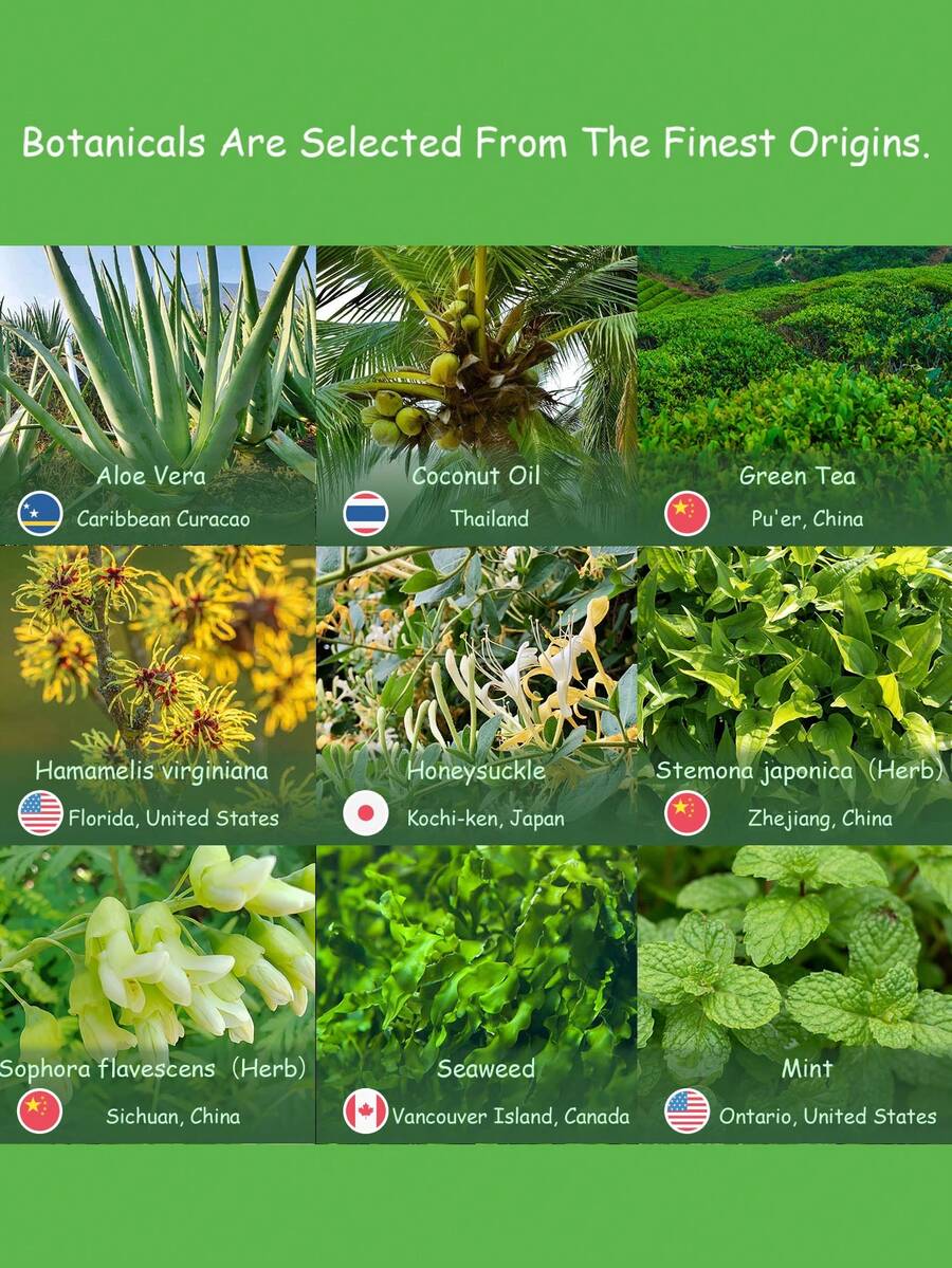 petstoral Cat Waterless No Rinse ShampooLicking Safe Dry Shampoo, No