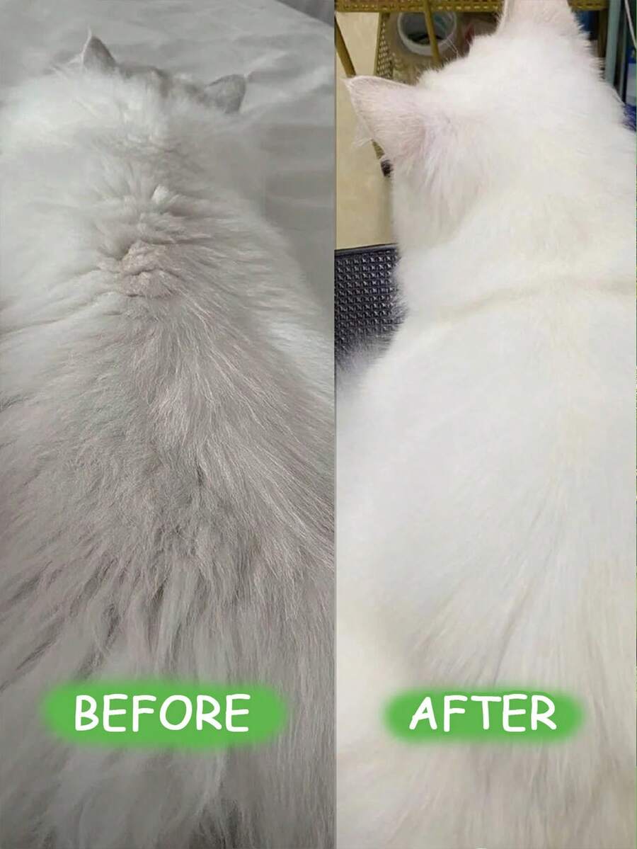 petstoral Cat Waterless No Rinse ShampooLicking Safe Dry Shampoo, No