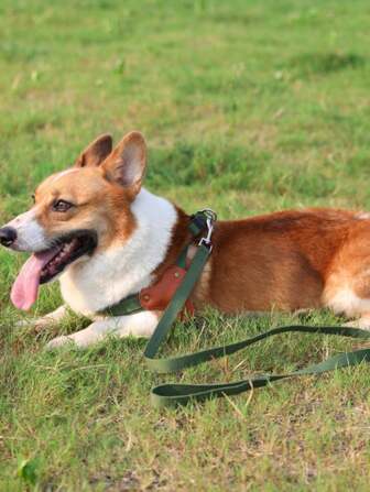1st Hondenriem Harnas, Borstriem Harnas Voor Kleine/Middelgrote Honden, Poedel, Corgi, Frenchie
