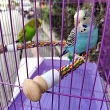 1pc Parrot Climbing Rope Bird Toy U-Shaped Pet Toy Bird Stand Birdcage Dedicated Rope, Small Bird Travel Backpack Accessories With Standing Perch - Multicolor - View 7