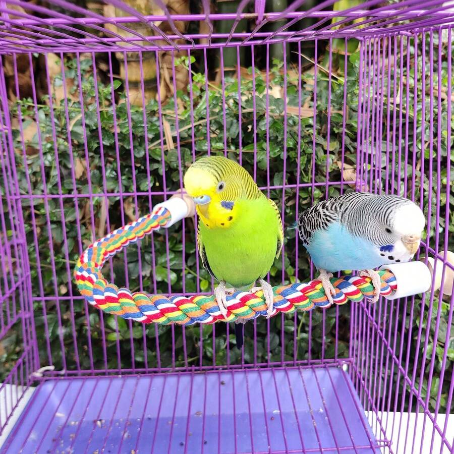 1pc Parrot Climbing Rope Bird Toy U-Shaped Pet Toy Bird Stand Birdcage Dedicated Rope, Small Bird Travel Backpack Accessories With Standing Perch - Multicolor - View 1
