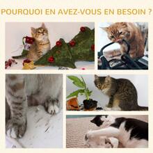 Arbres à chats et pensions - Gris foncé - Voir 6