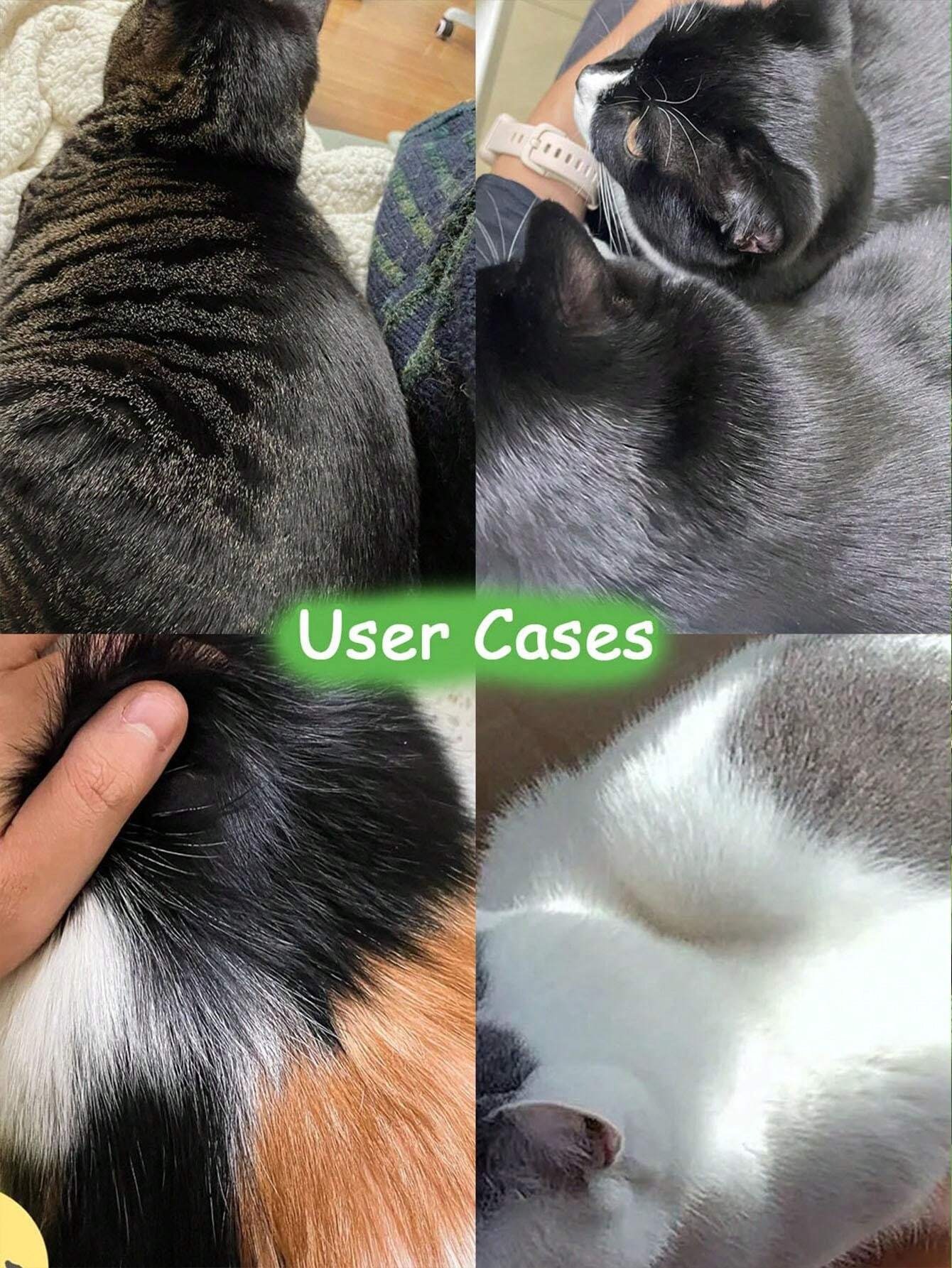 petstoral Cat Waterless No Rinse ShampooLicking Safe Dry Shampoo, No