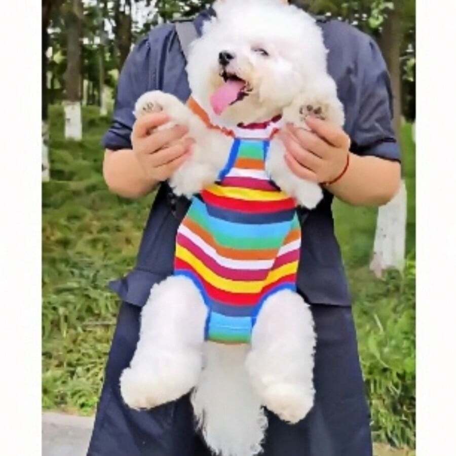 New Soft Mesh Cat Carrier Backpack, Breathable Pet Carrier Bag For Cat