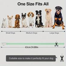 Vòng cổ đèn LED cho chó - Vòng cổ phát sáng có thể thay đổi màu sắc cho chó, có thể sạc lại bằng USB, 15 hiệu ứng ánh sáng, vòng cổ phát sáng trong bóng tối, chống chịu thời tiết, phù hợp với chó nhỏ, vừa và lớn, giúp thú cưng của bạn được nhìn thấy, an toàn, có khả năng hiển thị cao - Nhiều màu - Xem 7