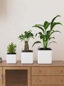 1 Pieza, Maceta con indicador de nivel de agua, Maceta autorriego, Maceta cuadrada con depósito de agua, Maceta cuadrada sin agua, Maceta de vivero, Sistema de riego automático para el jardín, Apto para macetas de interior y exterior