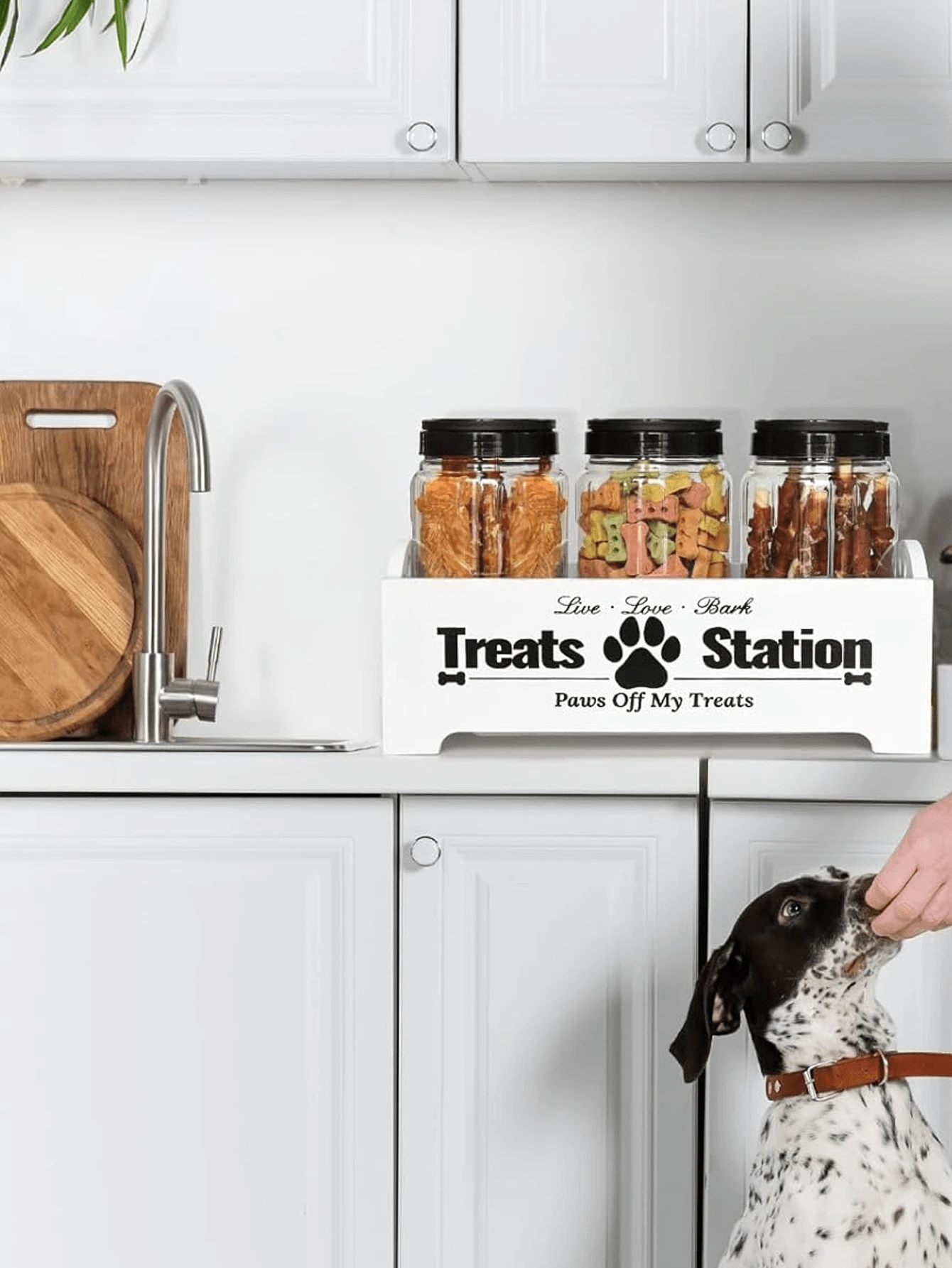 Contenedor de almacenamiento de estilo granja - Organizador de madera con 3 tarros de plástico - Diseño negro elegante para un almacenamiento conveniente (Forma de lata aleatoria y las latas pueden tener ligeros rasguños)