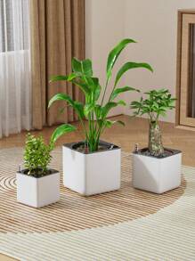 1 Pieza, Maceta con indicador de nivel de agua, Maceta autorriego, Maceta cuadrada con depósito de agua, Maceta cuadrada sin agua, Maceta de vivero, Sistema de riego automático para el jardín, Apto para macetas de interior y exterior