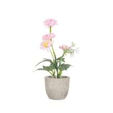 1pc Mini Pink Gerbera Daisy Potted Plant Combo, Desktop Decor Artificial Flower Arrangement - FY4001A-pink Wild Chrysanthemum - View 1