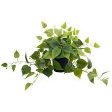 4pcs Artificial Hanging Plants, Potted Green Faux Grass & Ferns Plant, Fake Succulent Plant Hangers, Mandala Vine, Ivy For Wall Shelf, Home, Yard, Garden, Indoors And Outdoors Decoration, Valentine Day, Gift Gifts Birthday Graduation