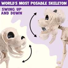 SYNCFUN Posable Halloween Dog Skeleton Full Body Posable Joints Skeleton Puppy For Halloween Decoration, Graveyard Party Deco (9.8" X 4.7" X 12.6")