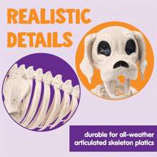 SYNCFUN Posable Halloween Dog Skeleton Full Body Posable Joints Skeleton Puppy For Halloween Decoration, Graveyard Party Deco (9.8" X 4.7" X 12.6")
