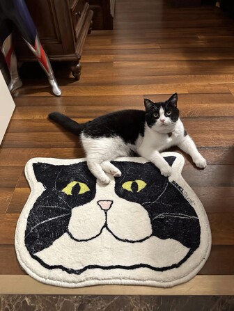 1pc, Whimsical Cute Cat Head Pattern Floor Mat - Slip-Resistant, Waterproof, Stain-Resistant, Machine Washable - Perfect For Living Room, Entrance, Laundry Room, Dining Room, Bathroom, Bedroom, Kitchen, Home Decor, Area Rugs