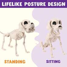 SYNCFUN Posable Halloween Dog Skeleton Full Body Posable Joints Skeleton Puppy For Halloween Decoration, Graveyard Party Deco (9.8" X 4.7" X 12.6")