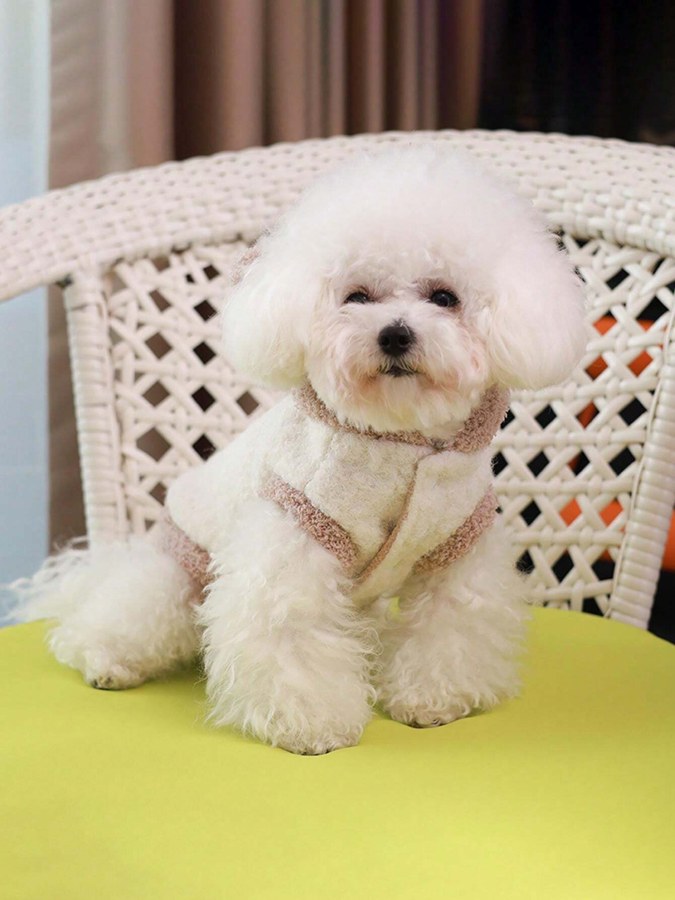 Hooded Padded Coat Leash Pet Clothes, Dog & Cat Winter Padded Coat for