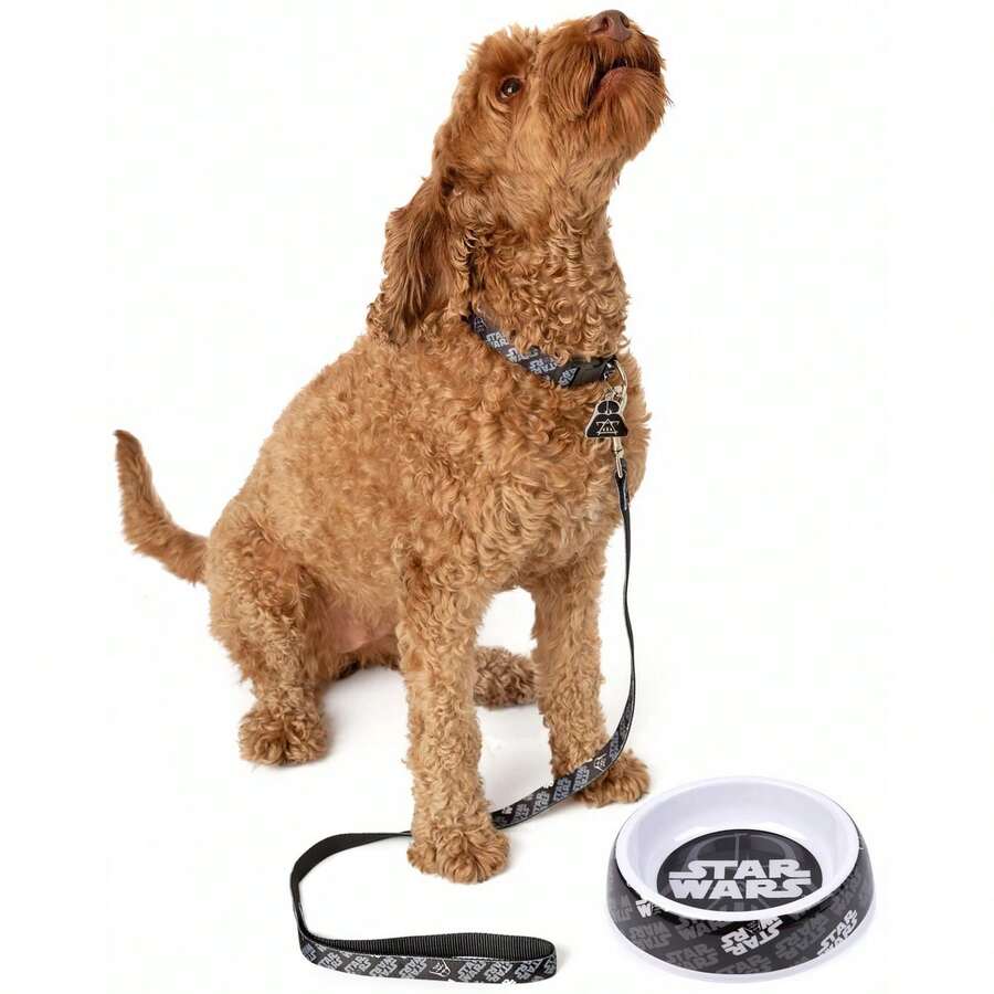 Star Wars Dog Collar Set (Black) SHEIN South Africa