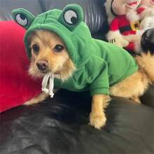 1 件宠物狗猫青蛙连帽衫、猫衣服、青蛙变形连帽运动衫 - 彩色 - 查看 11