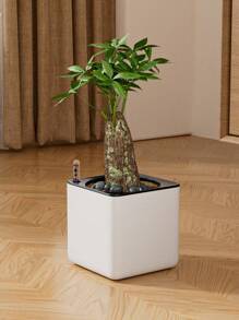 1 Pieza, Maceta con indicador de nivel de agua, Maceta autorriego, Maceta cuadrada con depósito de agua, Maceta cuadrada sin agua, Maceta de vivero, Sistema de riego automático para el jardín, Apto para macetas de interior y exterior