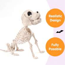 SYNCFUN Posable Halloween Dog Skeleton Full Body Posable Joints Skeleton Puppy For Halloween Decoration, Graveyard Party Deco (9.8" X 4.7" X 12.6")