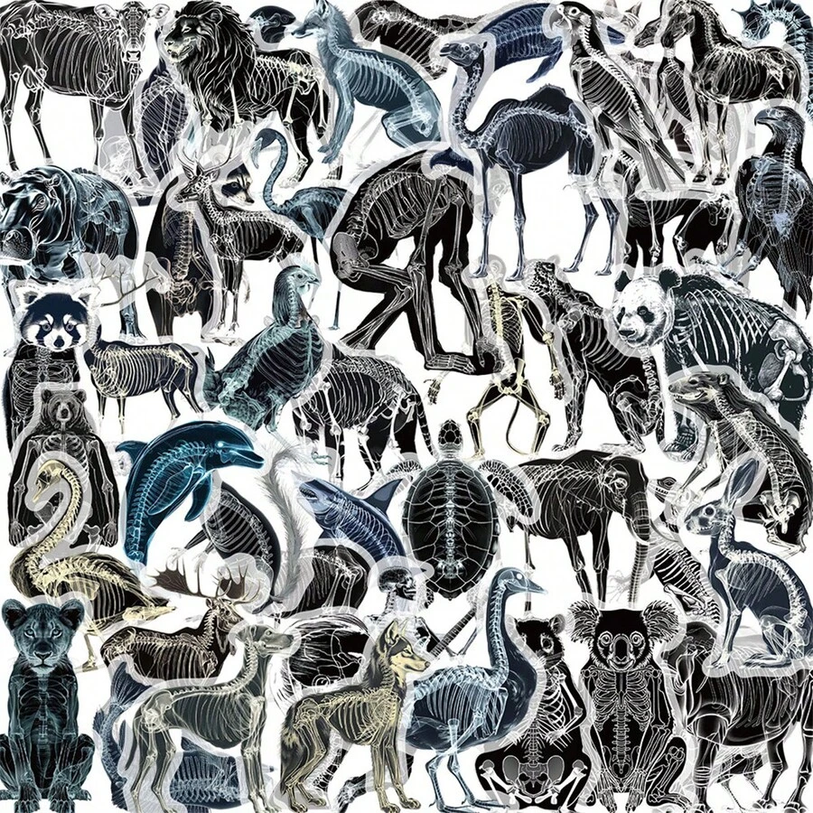 50pcs Transparent Cartoon X-Ray Animal Skeleton Stickers, Waterproof ...