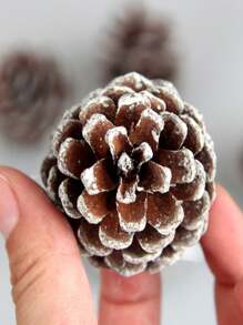 6 件天然松果装饰，随机款式带白色边缘的松果饰品，家居装饰，房间装饰，墙壁装饰 - 紫紅色 - 查看 3