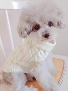 1pc Knitted Cable Sweater For Pets, Solid Color, Keep Warm In Winter - White - View 4