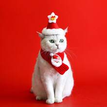 1 件宠物针织圣诞围巾，猫狗羊毛卡通麋鹿雪人保暖毛绒帽子围巾 - 彩色 - 查看 3