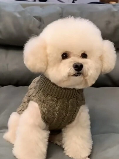 1pc Knitted Cable Pet Sweater, Solid Color Warm Winter Pet Clothes