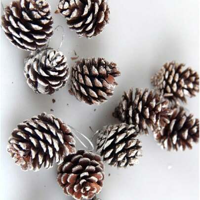 6 件天然松果装饰，随机款式带白色边缘的松果饰品，家居装饰，房间装饰，墙壁装饰