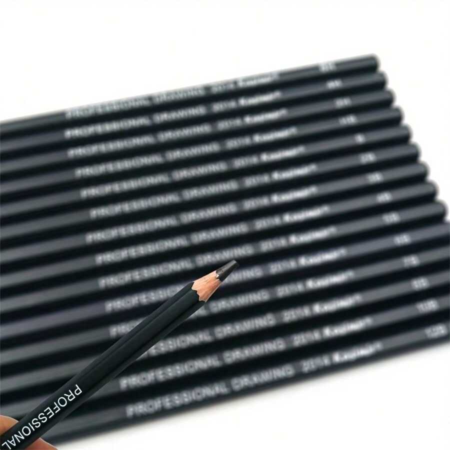 14Piece SKETCHING PENCILS Professional Artist Drawing Pencil Set