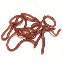 5pcs Realistic Fake Worm Toys For Pranks And Party Supplies, Insect Model - Brown - View 4