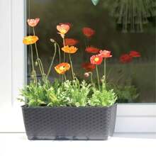 Prosperplast RATOLLA P 6L pot, afmetingen (mm) 386x154x142, kleur donker oker