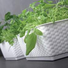 Prosperplast RATOLLA P 6L pot, afmetingen (mm) 386x154x142, kleur donker oker