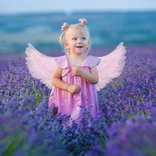 Fairy Angel Style With Crown + Wand  Perfect For Halloween Costume, Stage Show  Cosplay Party - Baby Pink - View 5