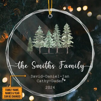 Adornos navideños personalizados con nombre - Adornos navideños con apellido familiar - Recuerdo navideño de vidrio personalizado, regalo de adornos navideños para la familia