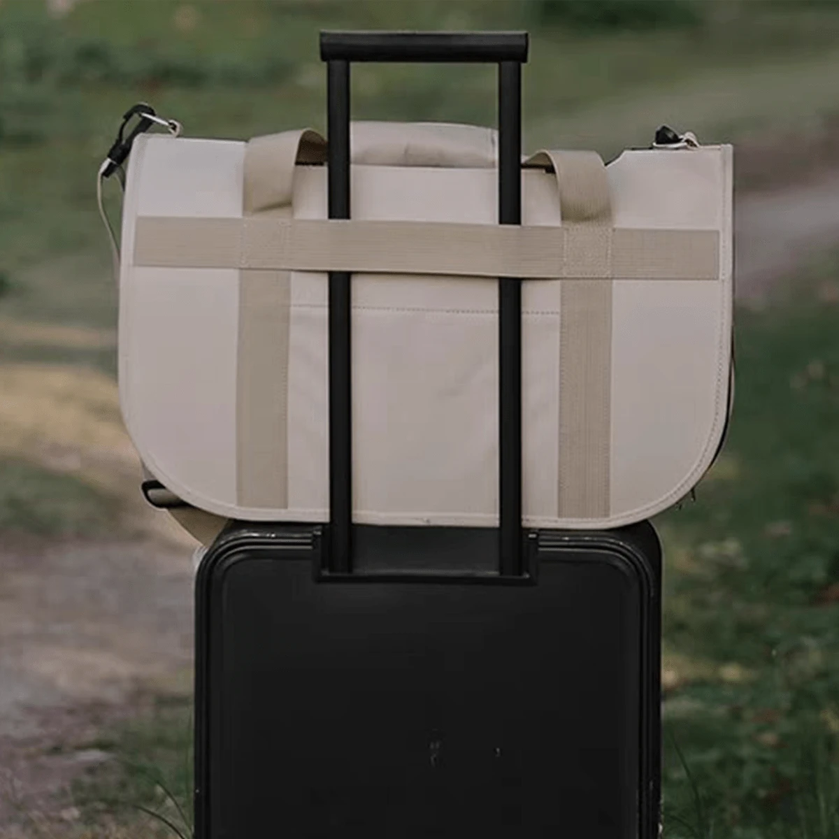 Cat, Dog Carrier For Small Medium Cats Puppies Up To 22 Lbs, TSA