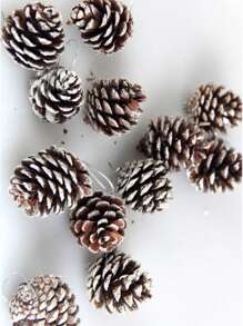 6pcs Natural Pine Cone Christmas Tree Ornaments, White Rim Pine Cone Hanging Decorations