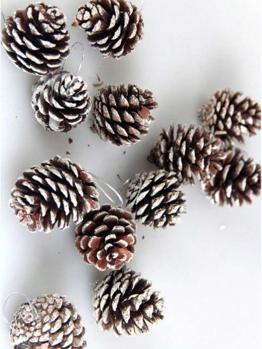 6pcs Natural Pine Cone Christmas Tree Ornaments, White Rim Pine Cone Hanging Decorations