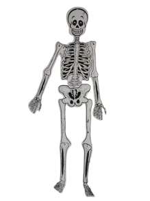 Calaveras Para Vestir 10pzs 75cm Fiesta Decoracion Calaveras Catrinas Para Vestir - Blanco y Negro - Ver 2